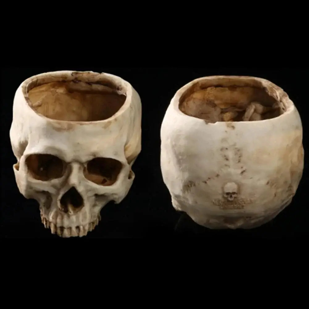 🎃Halloween Pre-sale🔥Human Skull Bowl