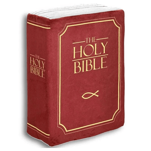 🔥Last day 75% OFF✨ | ✝️Bible pillow