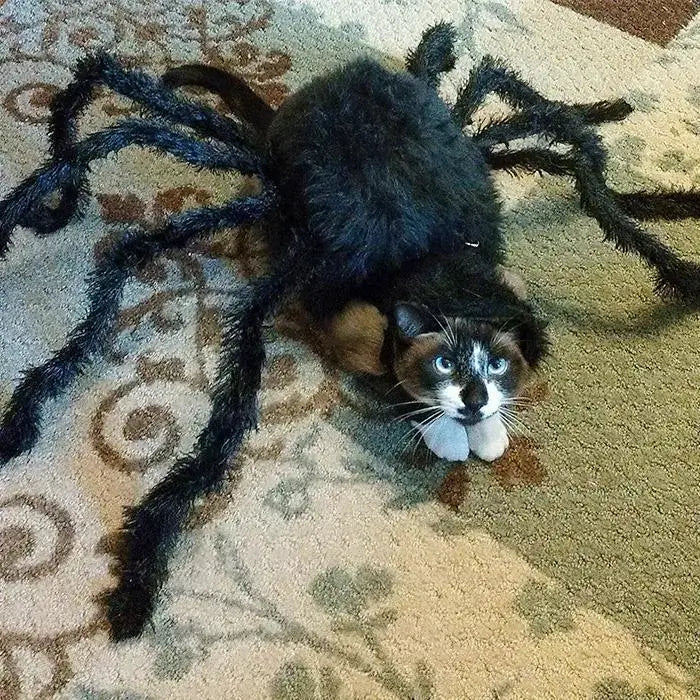 🔥Hot sale🔥Halloween Pets Spider Costume!