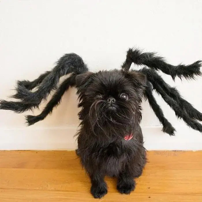 🔥Hot sale🔥Halloween Pets Spider Costume!