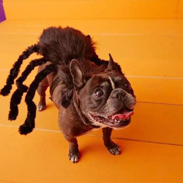 🔥Hot sale🔥Halloween Pets Spider Costume!