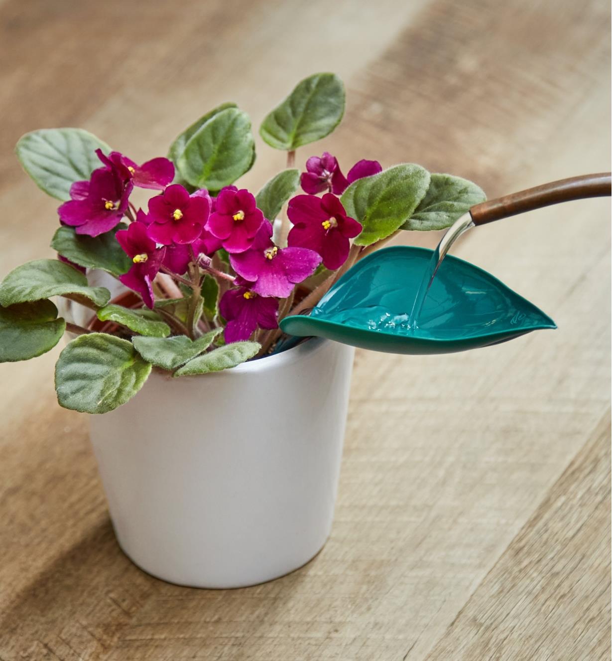 🔥Summer Hot Sale🔥Watering Leaves(BUY 5 GET 5 FREE)